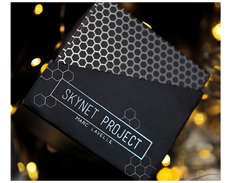 Skynet Project