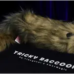 gioco di prestigio tricky raccoon
