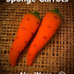 gioco di prestigio sponge carrots
